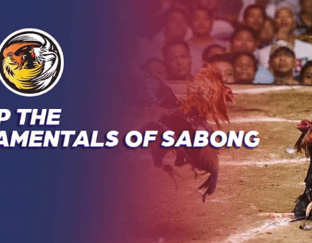 GPinas Online Casino: Tips for Hosting an Online Sabong Tournament