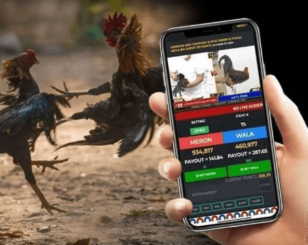 GPinas Online Casino: Ang Hinaharap ng Online Sabong – Mga Uso at Prediksyon