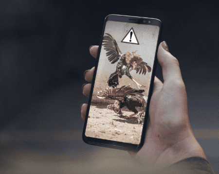 GPinas Online Casino: Ang Impluwensya ng Mobile Technology sa Online Sabong