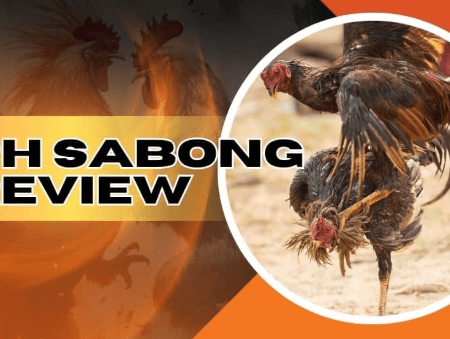 GPinas Online Casino: Ang Taunang Pagsusuri ng Online Sabong – Mga Highlight at Lowlights